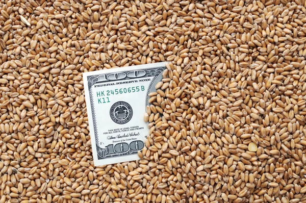 Grains de blé Image En Vente