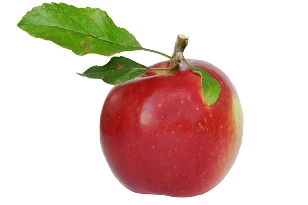 The big red apple — Stock Photo, Image