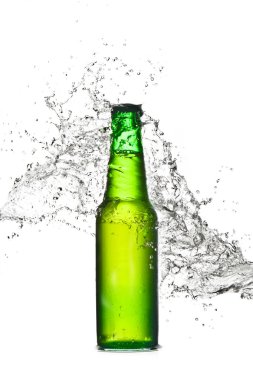 bira şişe taze splash