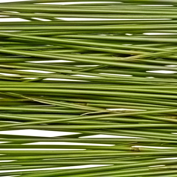 Pajitas de hierba verde — Foto de Stock