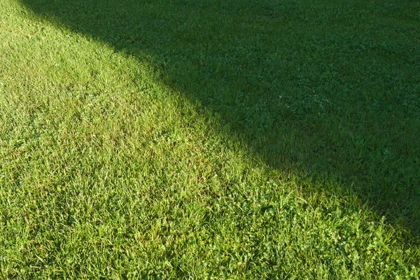 Klippa gräsmattan — Stockfoto