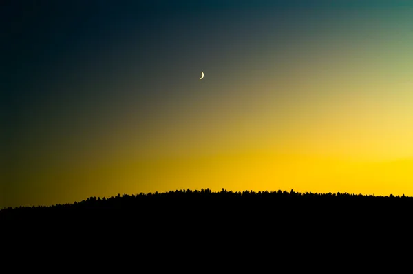 Lua sob a floresta — Fotografia de Stock