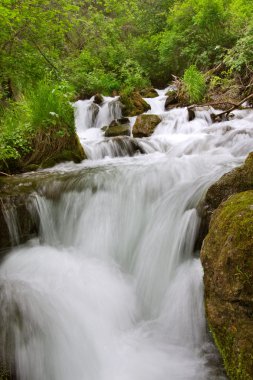 Dağ nehri