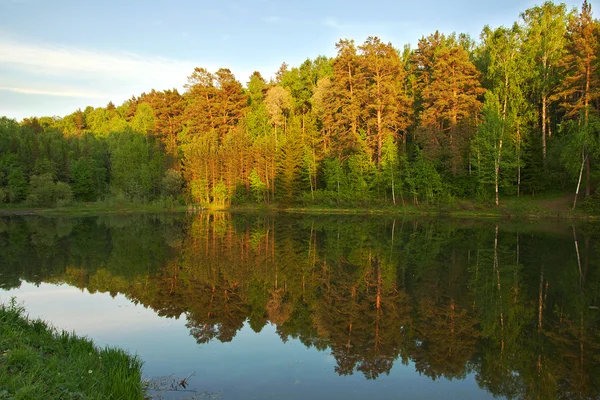 stock image Lake in the forest