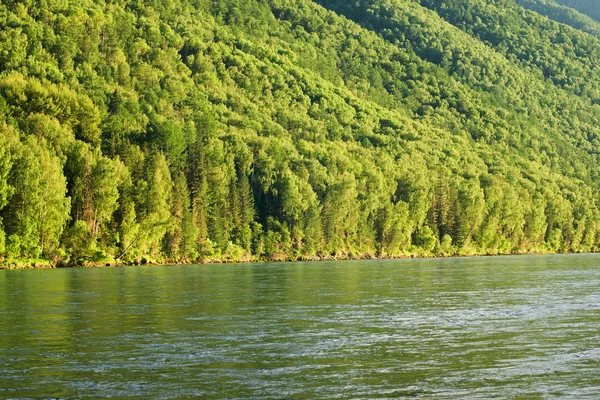 Floden i berg landskap — Stockfoto