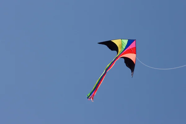 Kite i himlen — Stockfoto