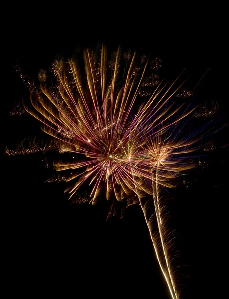 Flor de fuegos artificiales — Foto de Stock