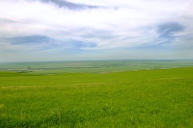 Yeşil tablo-arazi