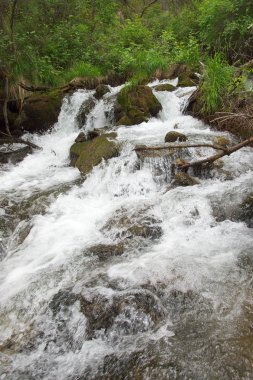 Dağ nehri