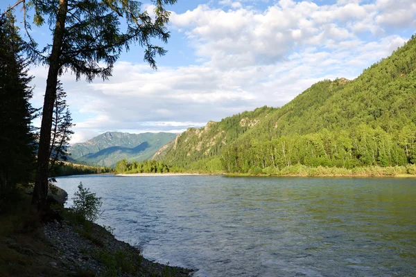 stock image River in the mountains landscape