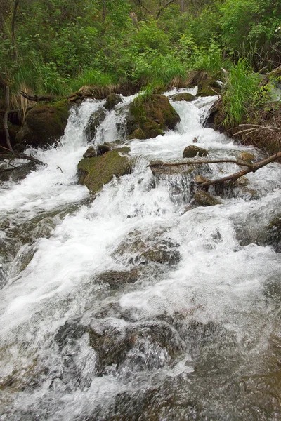 Stock image Mountain river