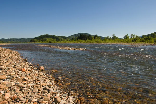 Çakıl taşları ile nehir — Stok fotoğraf