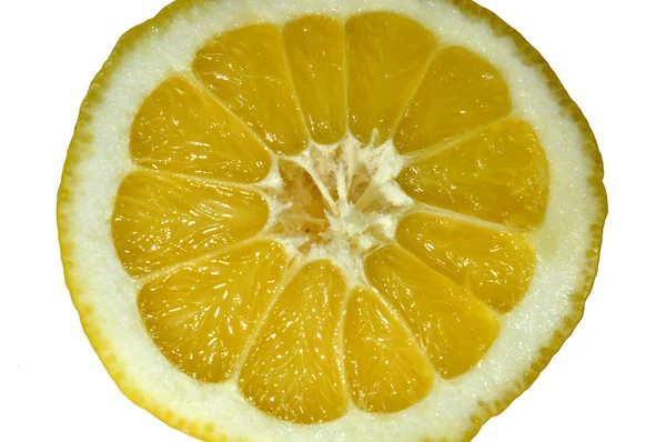 Limón cortado por la mitad sobre fondo blanco — Foto de Stock