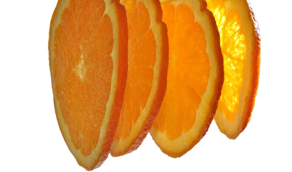 Vier sneetjes oranje op witte pagina — Stockfoto