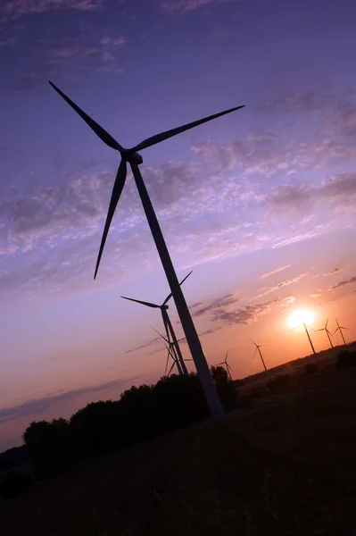 在日落期间风力涡轮机 — 图库照片