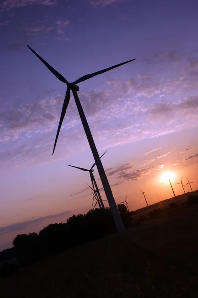 Stock image Wind turbines during sunset