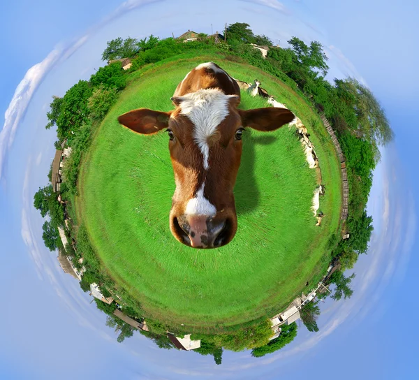 Agricultural planet — Stock Photo, Image