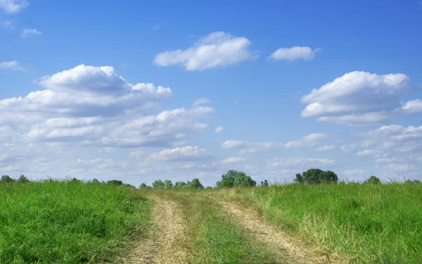 Green field and blue sky landscape with road — Stock Photo, Image