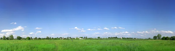 Green field and blue sky panorama — Stock Photo, Image