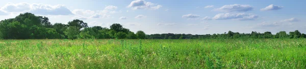 Campo verde e céu azul panorama — Fotografia de Stock