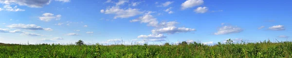緑の草原と青い空のパノラマ — ストック写真