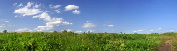 Campo verde y cielo azul panorama con camino — Foto de Stock