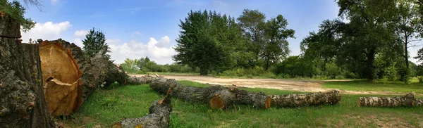 Горизонтальная панорама лесопилки — стоковое фото
