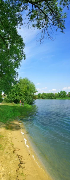 Pobřeží jezera s strom a pěkná modrá obloha — Stock fotografie