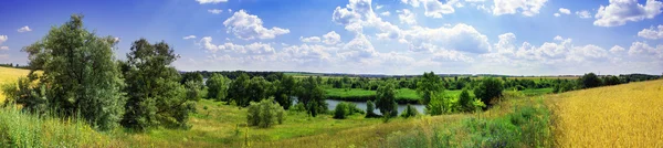 Żółty pszenicy, rzeki i niebieski niebo panorama — Zdjęcie stockowe