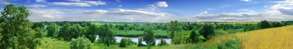 黄小麦、 河和蓝蓝的天空全景 — 图库照片
