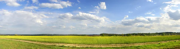 Panorama över fältet Stockfoto