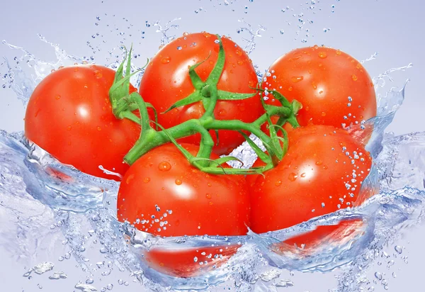 Tomatoes in water — Stock Photo, Image