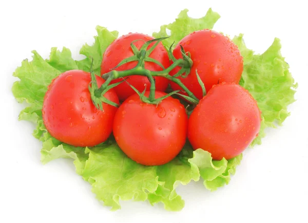 Tomatoes and lettuce — Stock Photo, Image