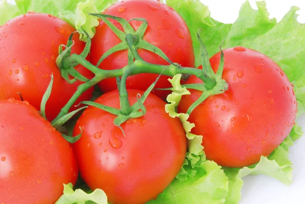 Tomatoes and lettuce — Stock Photo, Image