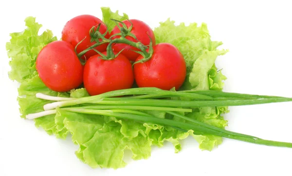 Salad ingredients — Stock Photo, Image