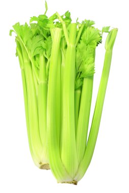 Celery clipart