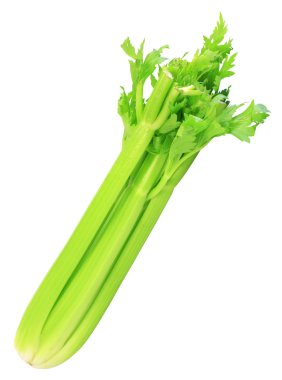 Celery clipart