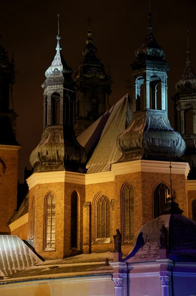 Pozna Katedrali kilisede mi? Geceleyin — Stok fotoğraf
