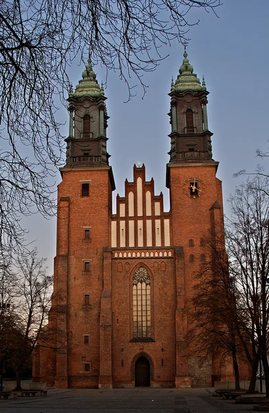 Pozna の大聖堂教会ですか。 — ストック写真