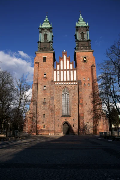 Igreja Catedral em Pozna= — Fotografia de Stock