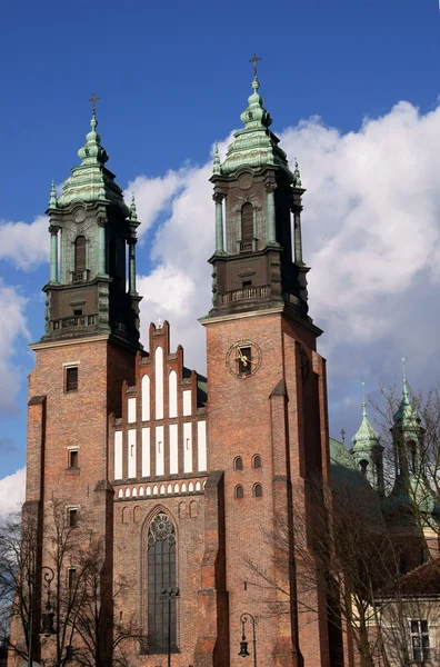 Кафедральний собор у Pozna? — стокове фото