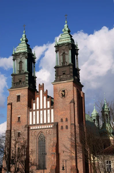 Igreja Catedral em Pozna= — Fotografia de Stock