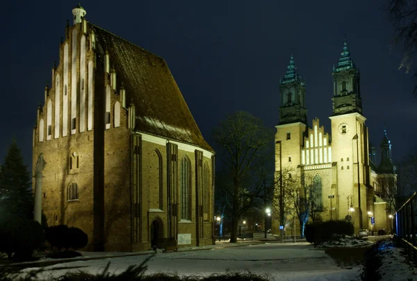 Cathedral Church in Poznań at night — Stock Photo, Image