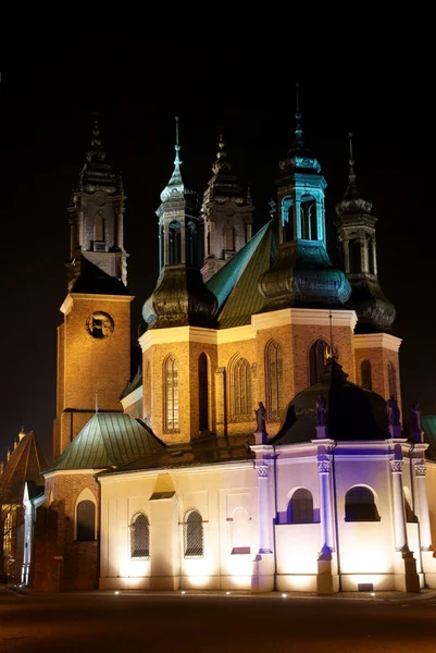 Catedral de la Iglesia en Poznajalá por la noche — Foto de Stock
