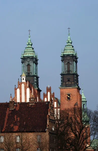 Katedrális templom Pozna? — Stock Fotó