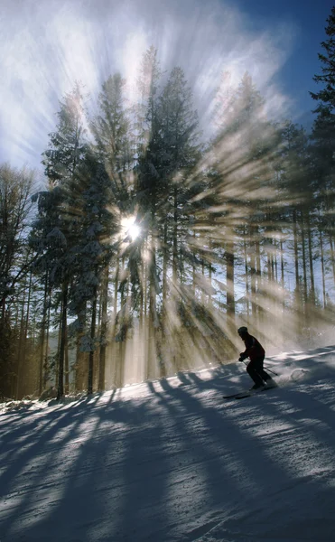 Esquiador y sol —  Fotos de Stock