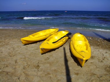 Canoe on the beach clipart