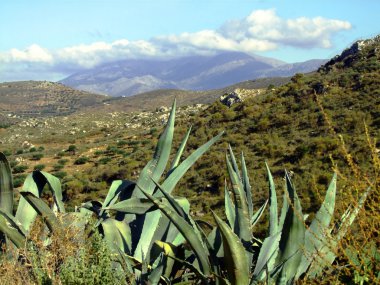 Girit dağlarda
