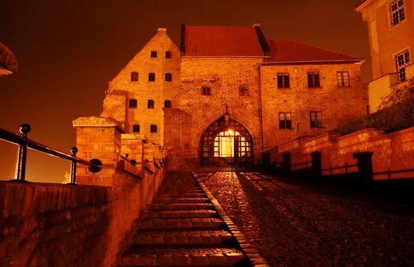 stock image Gothic gateway by night