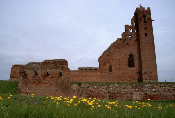 Gothic castle — Stock Photo, Image